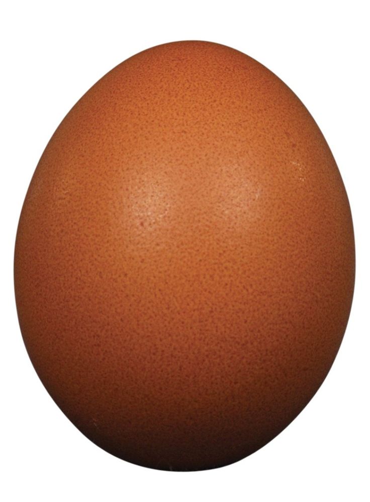 Brown Eggs